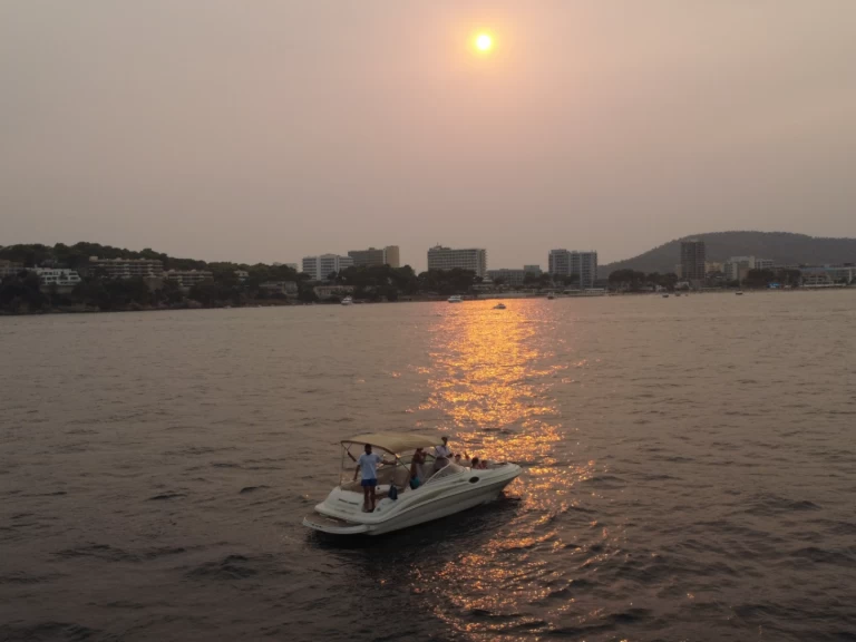 Ein Sea Ray Sea Ray 240 Sundeck mieten in Palma de Mallorca