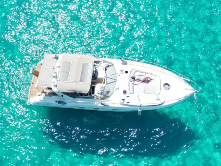 Fiart Fiart 40 Genius mieten Palermo