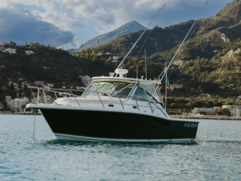 Motorboot mieten in Monaco - PURSUIT  3400 "Express"