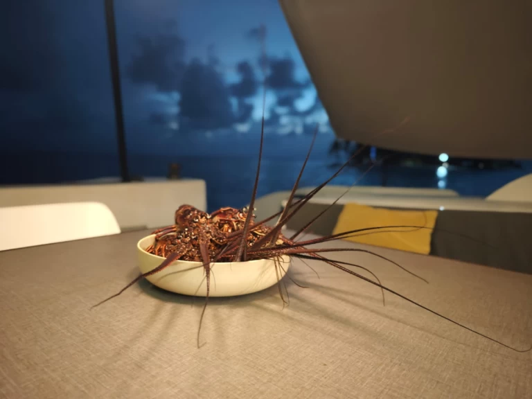 Vermietung Katamaran Oyacht mit Führerschein