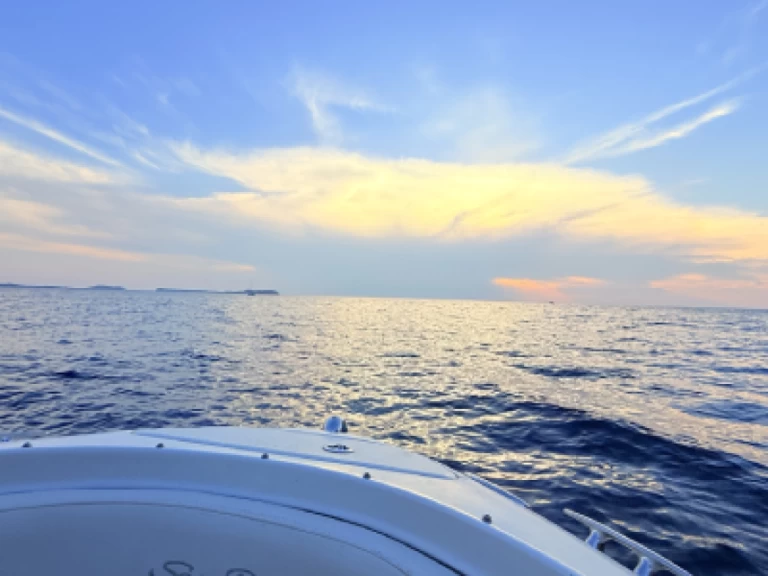 Motorboot mit oder ohne Skipper Sea Ray mieten in Sant Antoni de Portmany