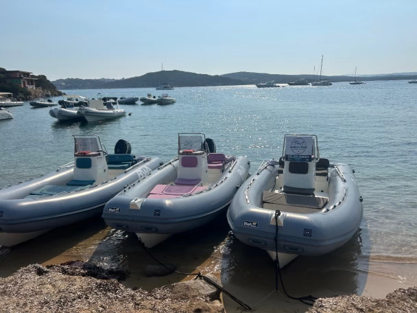 Vermietung Schlauchboot Bwa mit Führerschein