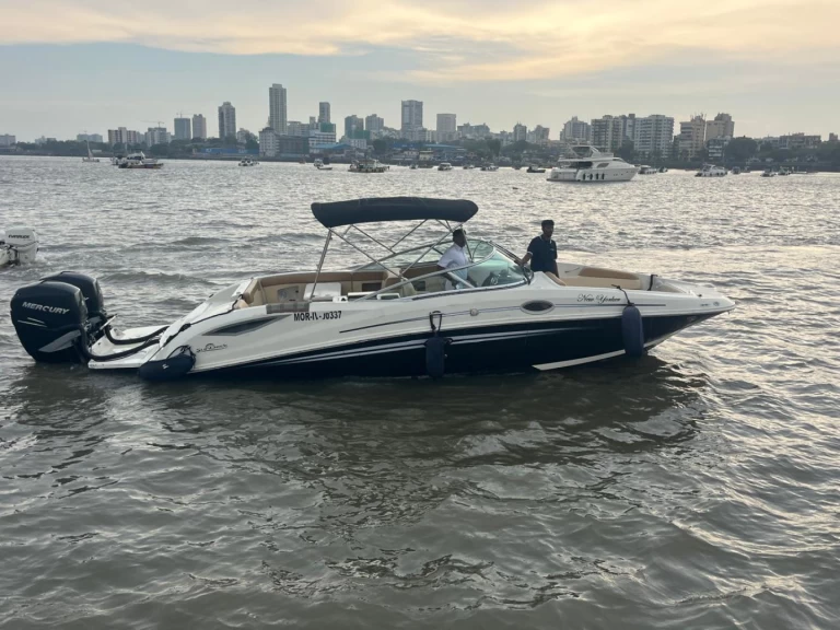 Sea Ray Sea Ray SDX 290 mieten Mumbai