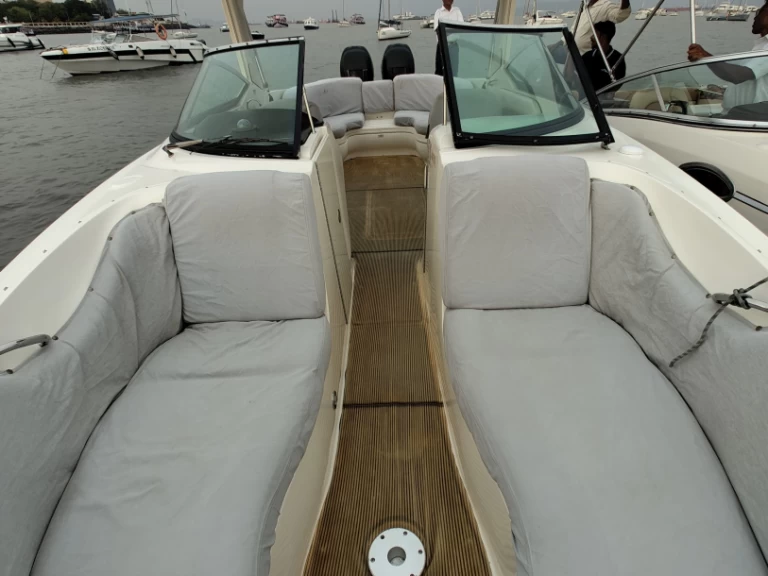 Sea Ray Sea Ray SLX 300 mieten Mumbai