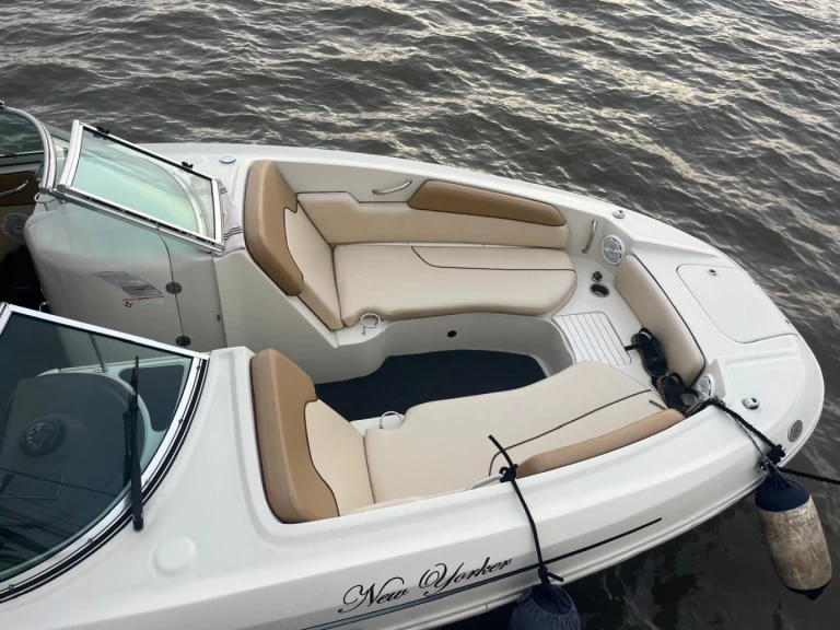Motorboot mieten in Mumbai - Sea Ray Sea Ray SDX 290