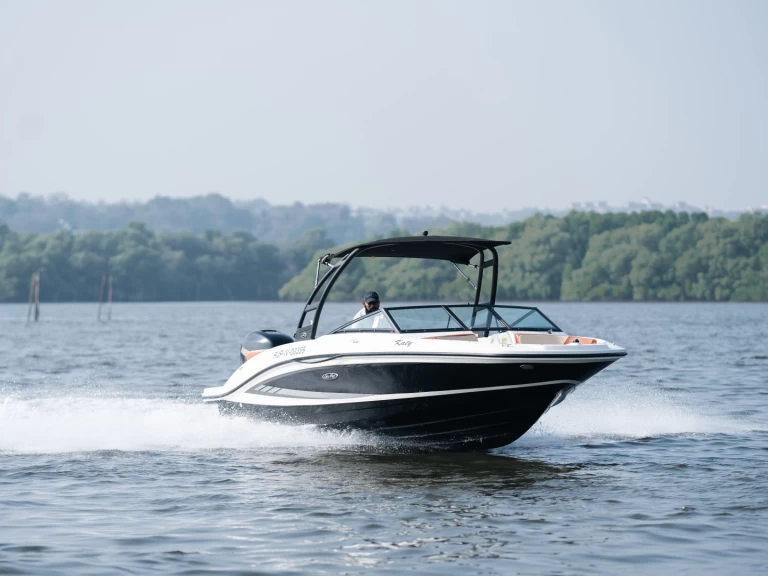 Sea Ray Sea Ray SPX 210 mieten Panaji