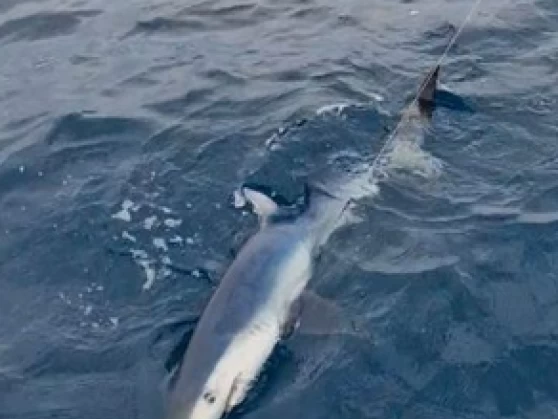 Vermietung Motorboot Ocqueteau mit Führerschein