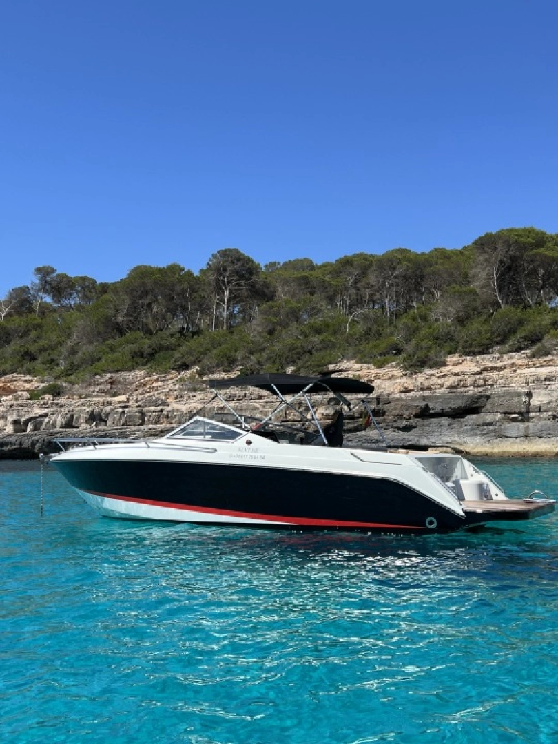 Motorboot mieten in Cala d'Or - Wellcraft OPEN