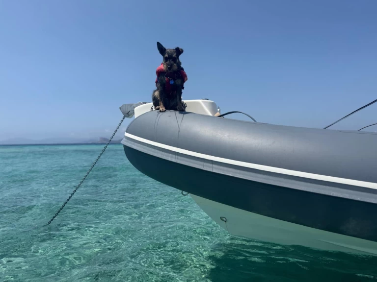 Bwa 24 Sporty RIB mieten Ibiza Town