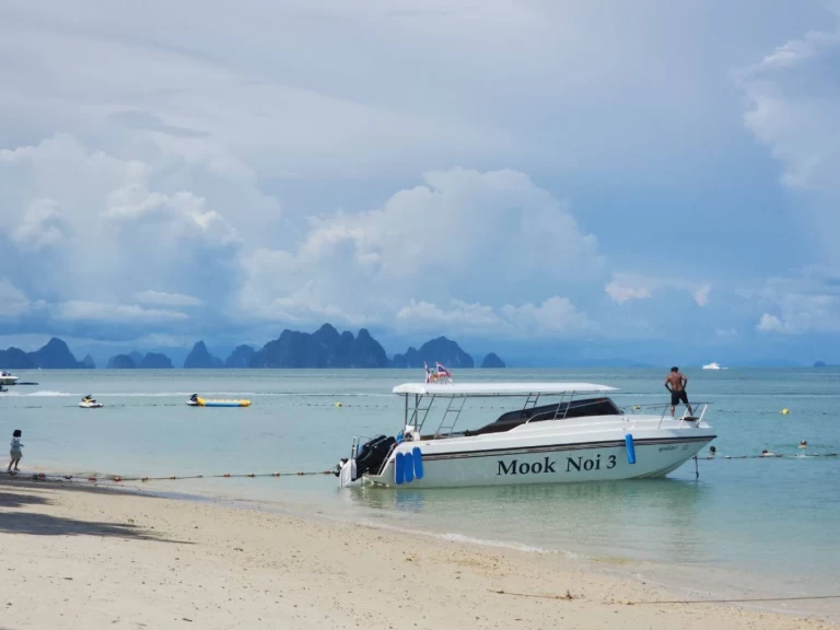 Vermietung Motorboot Custom mit Führerschein