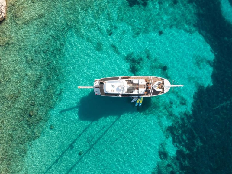 Bootsverleih Custom Phoenix Bronze Split Samboat