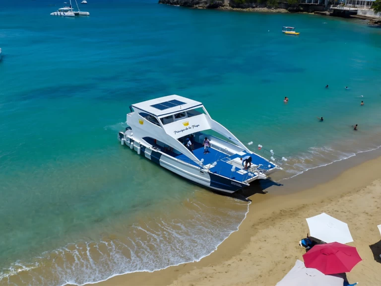 Ein Custom Made Custom made mieten in Puerto Plata