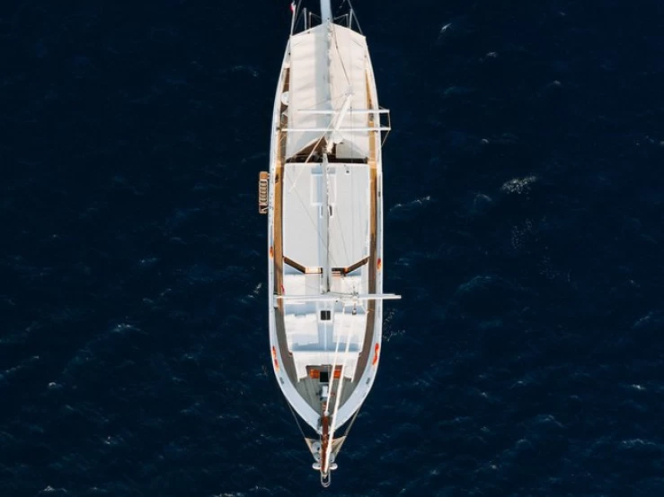 Custom Made Beyaz Lale mieten Kos