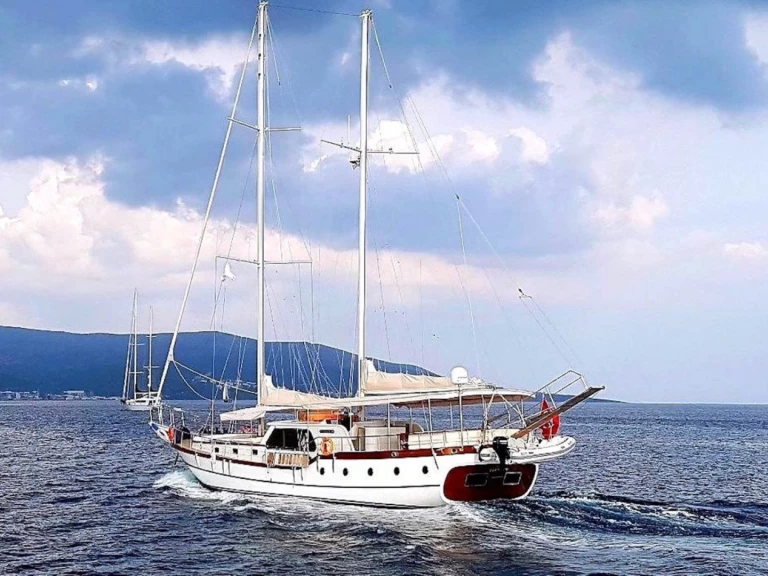 Bootsverleih Custom Made Elifim 11 Bodrum Samboat