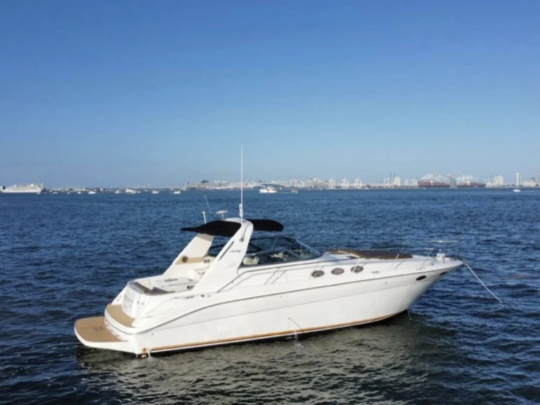 Ein Sea Ray Sea Ray 400 Sundancer mieten in Key Biscayne