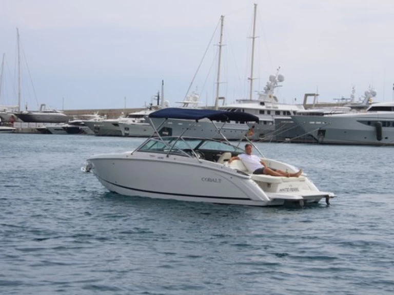 YachtCharter in El Toro - Cobalt R5 auf SamBoat