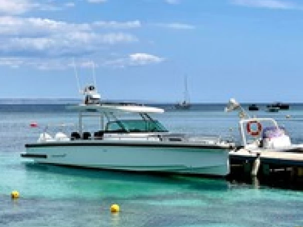 Motorboot mit oder ohne Skipper Axopar mieten in El Toro