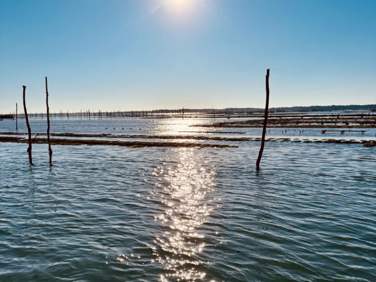 YachtCharter in Frankreich - Beacher Beacher 840 auf SamBoat