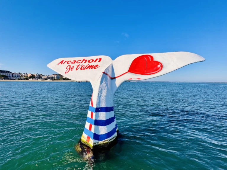 Ein Beacher Beacher 840 mieten in Frankreich