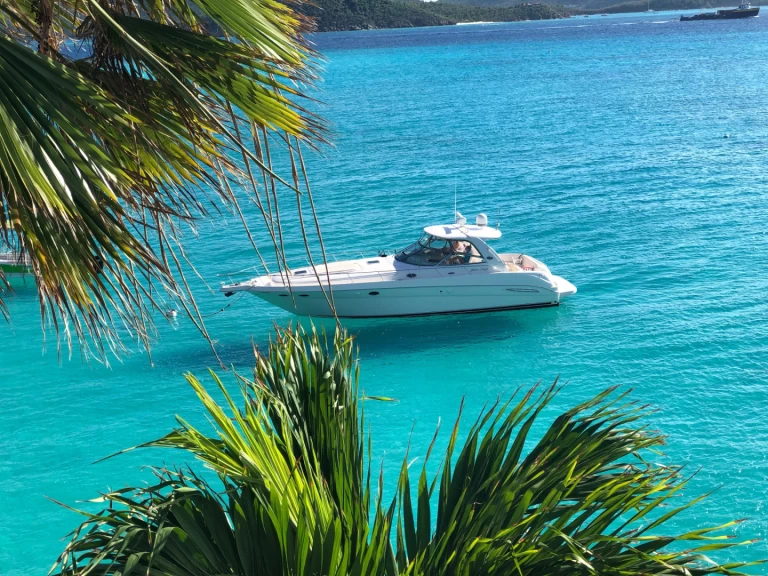 Sea Ray Sea Ray 525 Sundancer mieten Saint Thomas Harbor