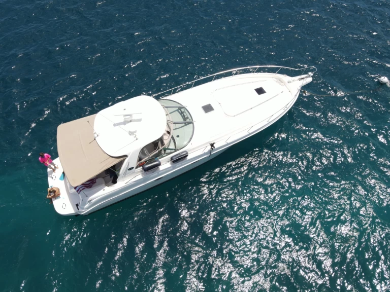 Boot mieten Tortola günstig Sea Ray 525 Sundancer