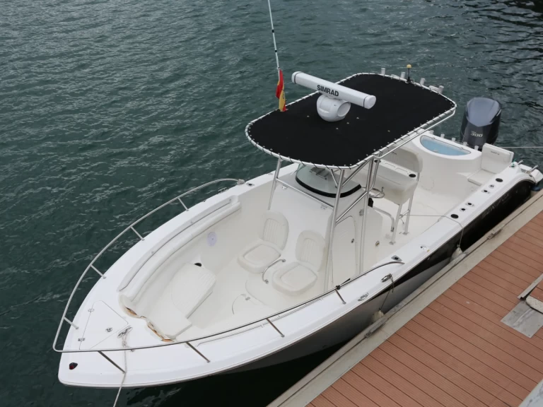 Vermietung Motorboot SEAFOX mit Führerschein