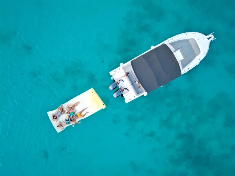 YachtCharter in Marigot - White Shark White Shark 265 auf SamBoat