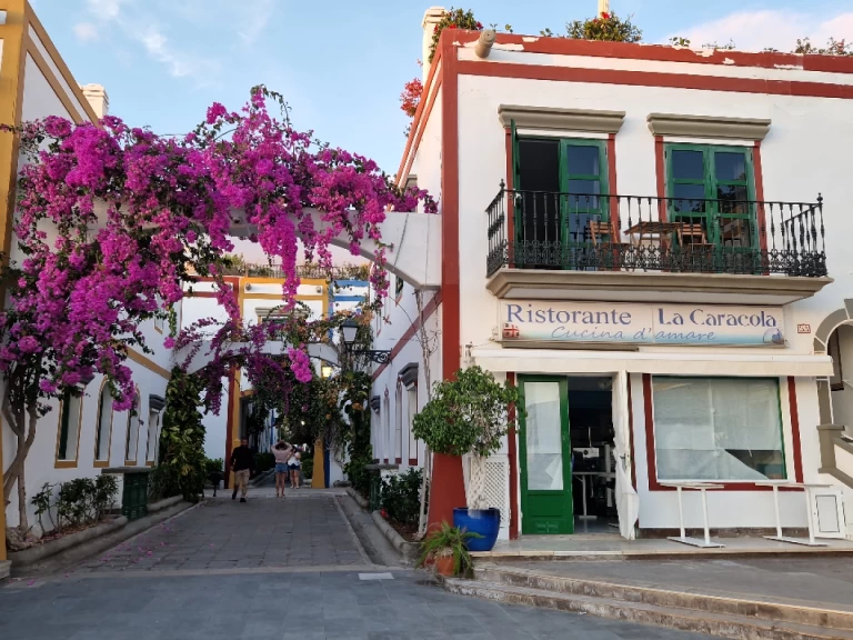 Ein Jeanneau Sun Odyssey 44i mieten in Puerto de Mogán