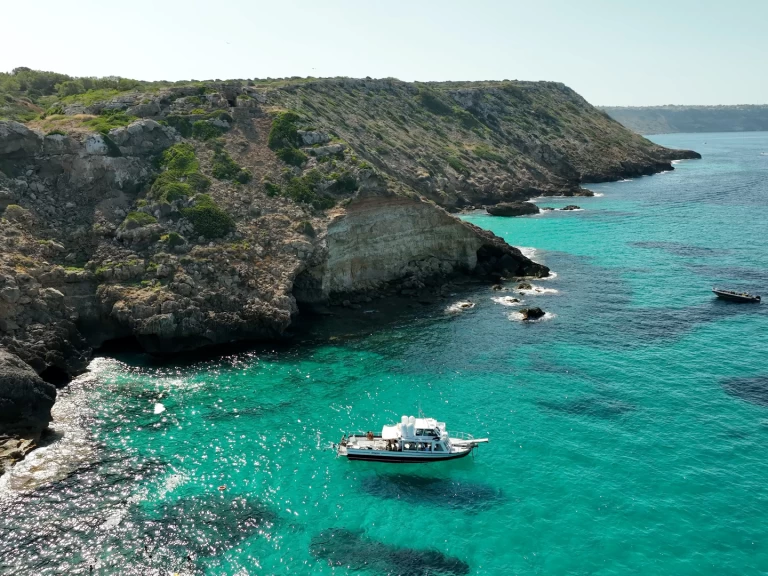 YachtCharter in s'Arenal - palma 1 auf SamBoat