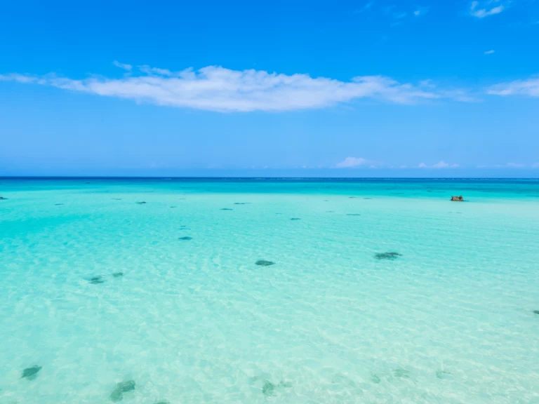 Katamaran mit oder ohne Skipper Custom Made mieten in Kendwa