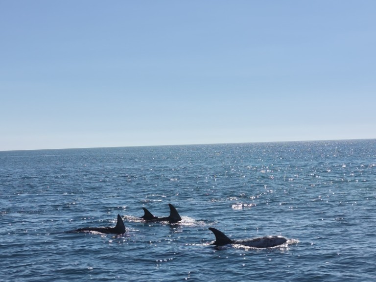 Ein Fountaine Pajot FP 44 mieten in Portimão