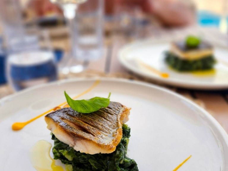 Katamaran mit oder ohne Skipper Sunreef mieten in Rogoznica