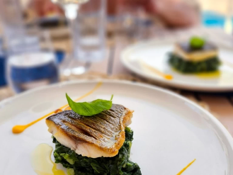 Katamaran mit oder ohne Skipper Sunreef mieten in Rogoznica