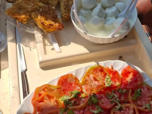 Motorboot mieten in Sorrent - Tirrenia Viveur 28