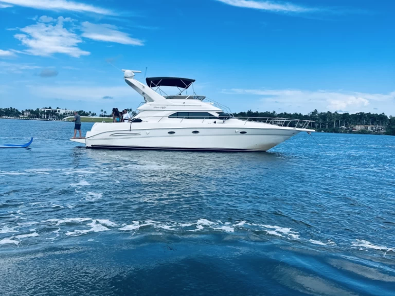 Yacht mit oder ohne Skipper Sea Ray mieten in Boynton Beach