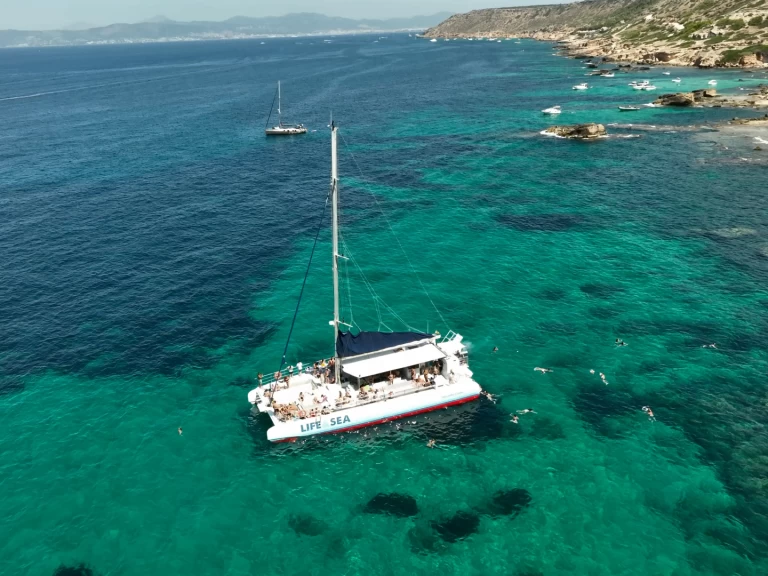 Ein Drassanes Dalmau one of a kind mieten in Playa de Palma