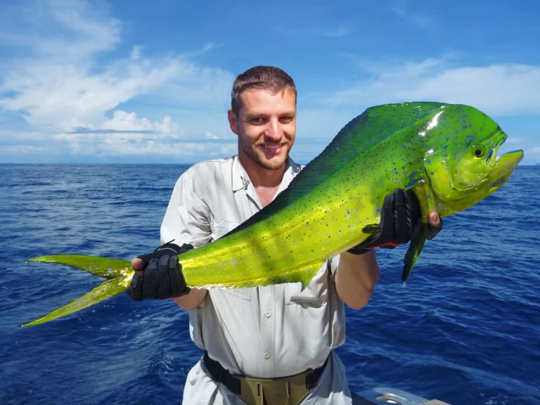 Yacht mieten in Punta Cana - Custom Made Custom made