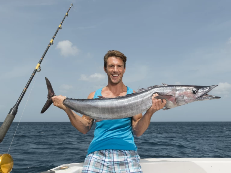 Vermietung Yacht Custom Made mit Führerschein