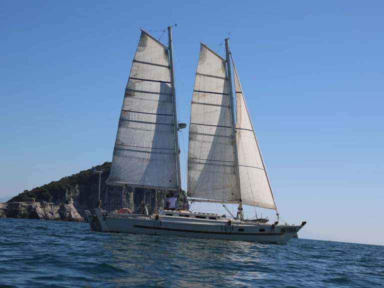 Katamaran mit oder ohne Skipper Wharram mieten in La Spezia