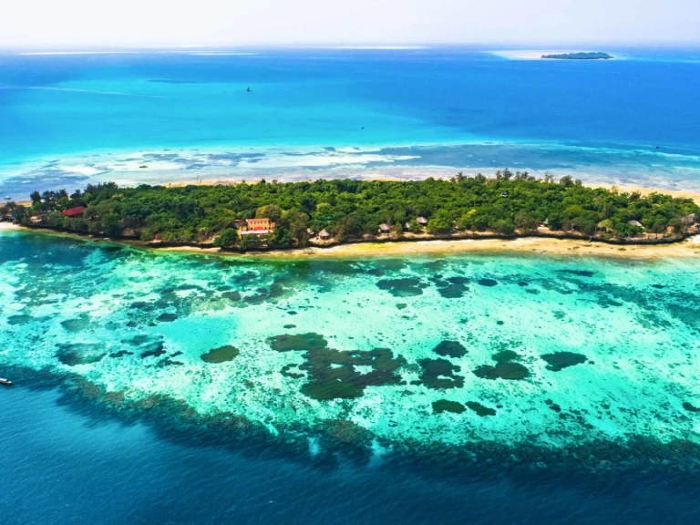 YachtCharter in Sansibar-Stadt - Custom 2018 auf SamBoat