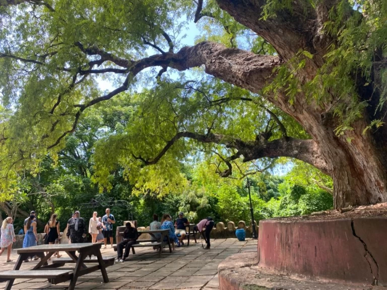 Bootsverleih Custom Custom Sansibar-Stadt Samboat