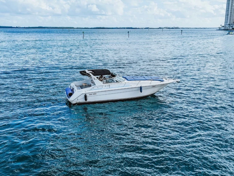 Vermietung Motorboot Sea Ray mit Führerschein