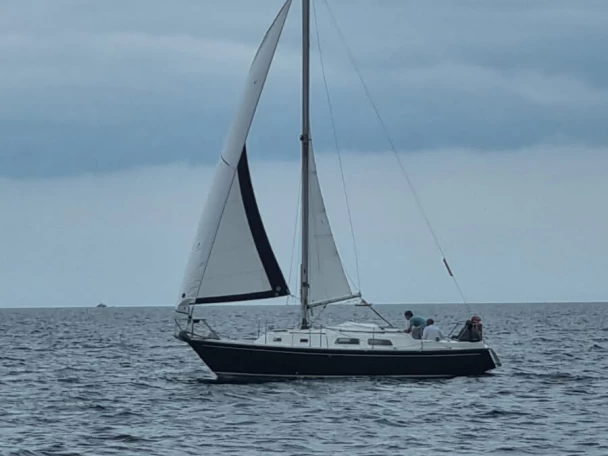 Segelboot mieten in Port de Sainte-Marine - Contest contest 29