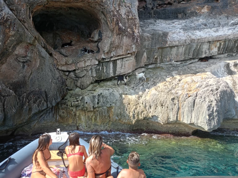 YachtCharter in Cala Gonone - Nuova Jolly King 750 auf SamBoat