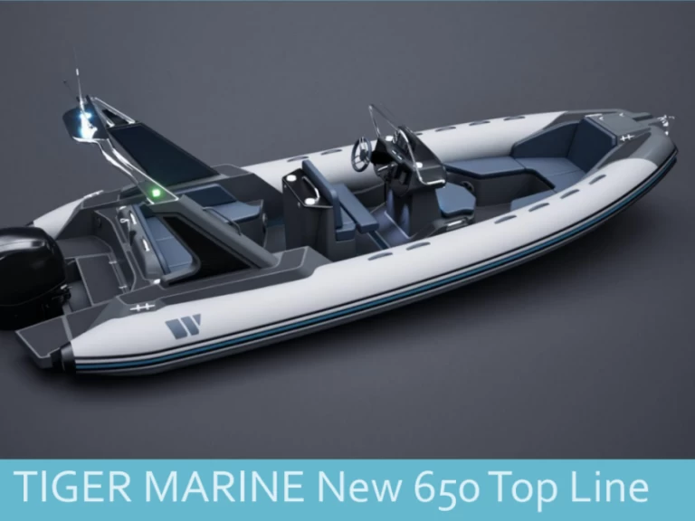 Bootsverleih Tiger 650 La Flotte Samboat