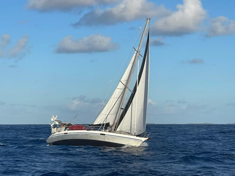 Ein Alubat Ovni 43 mieten in La Paz