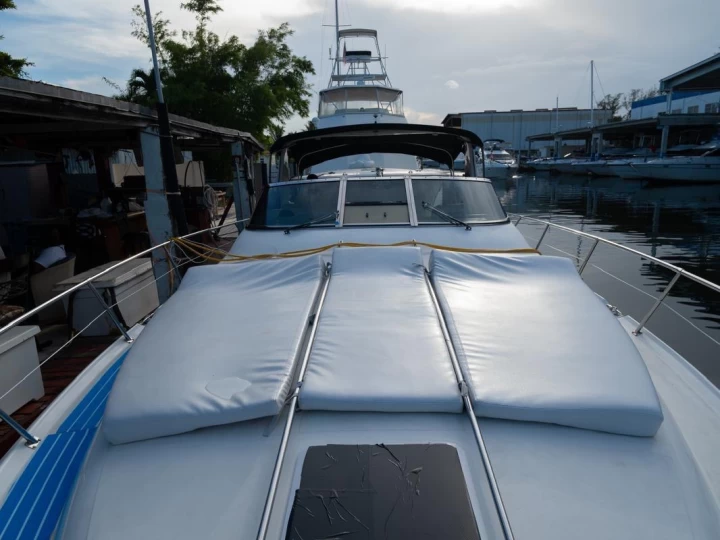 Motorboot mieten in Miami - Sea Ray Sea Ray 400 Sundancer