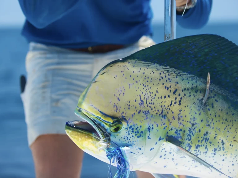 Ein HCB 53 Suenos  mieten in Providenciales