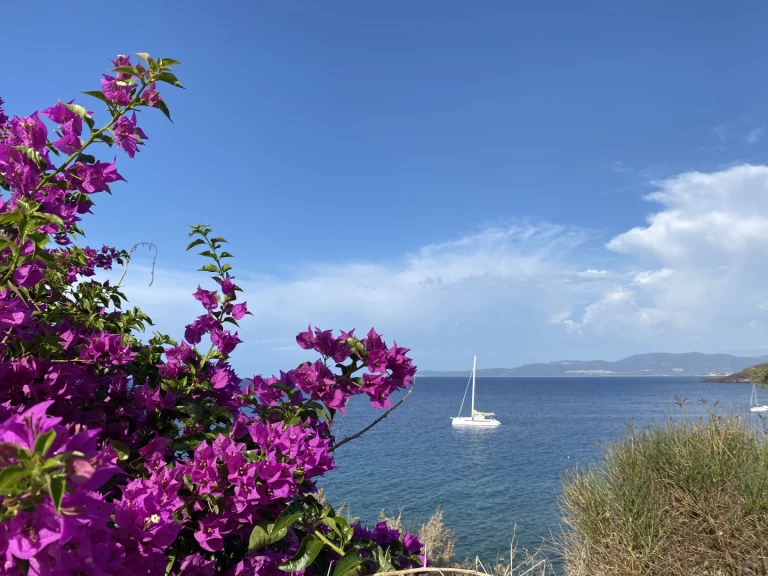 YachtCharter in Pianottoli-Caldarello - ALIBI ALIBI 54 auf SamBoat