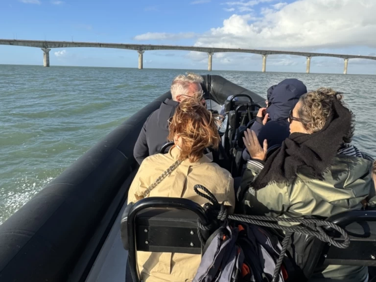 Bootsverleih Narwhal sp900 La Rochelle Samboat